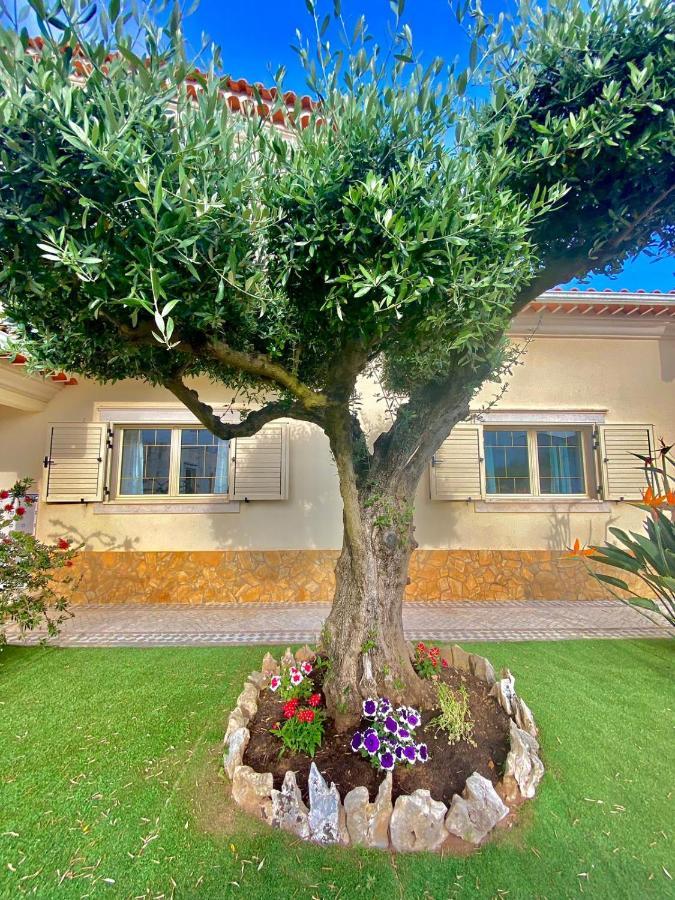 Casa Das Laranjeiras Alqueidão da Serra Esterno foto